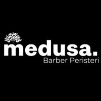 /customerDocs/images/avatars/65095/65095-ΜΟΝΤΕΡΝΟ ΚΟΥΡΕΙΟ-MEDUSA-ΛΟΦΟΣ ΑΞΙΩΜΑΤΙΚΩΝ-ΠΕΡΙΣΤΕΡΙ-LOGO.jpg